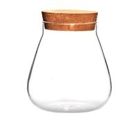 Bonbonnière Bubble Bowl en Verre Borosilicaté, Décorative, Marron | Micro Paysage, Pot pour Terrarium, Rangement de Petites Friandises et Fruits, Élément Principal Présent