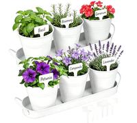 BONJUME Pots De Fleurs, 6PCS Pots à Herbes Aromatiques avec 2 Soucoupes Pots Ovales en Métal Blanc pour Plantes D'Intérieur Succulentes Basilic Menthe Persil Cuisine Rebord De Fenêtre