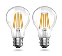 Bonlux 6W LED Ampoule E27 Blanc Chaud 2700K 100W équivalent, 1300lm Super Lumineux A60 Globe Ampoule a visser gros culot Edison Vintage Ampoule Basse Consommation AC 220-240V, Non-dimmable -2pack