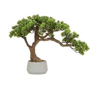 Atmosphera - Bonsaï Artificiel en Pot polin Pot en céramique Vert h45cm