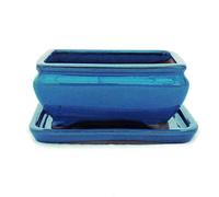 Bonsaï Bol avec sous assiette Taille 2 - Bleu - Rectangulaire - Modèle G81 - L 14,5 cm - B 11,3 cm - H 6,6 cm