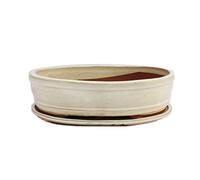 Bonsai Bol avec sous assiette Taille 5 - Beige clair - ovale - Modèle o7 - L 31 cm - B 24 cm - H 7,5 cm
