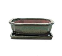 Bonsai pot avec soucoupes taille 3-vert olive-modèle rectangulaire-marron - 18-g12 cm-largeur : 14 cm-hauteur 5,5 cm