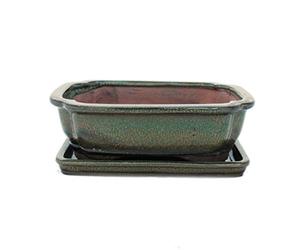 Bonsai pot avec soucoupes taille 3-vert olive-modèle rectangulaire-marron - 18-g12 cm-largeur : 14 cm-hauteur 5,5 cm