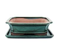 Bonsaï Taille 4 - Vert - Rectangulaire - Modèle G4 - L Bol avec sous assiette 26 cm - Largeur 20 cm - H 8 cm