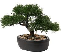Bonzaï artificiel Cèdre Plante artificielle avec cache-pot en céramique Noir 25 x 23 cm