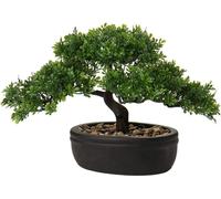 Bonzaï artificiel Podocarpus Cèdre Pin Noir Cache-pot en céramique 25 x 23 cm