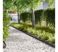 bords de pelouse vidaXL 10 pcs Noir 100x0,5x15 cm Acier