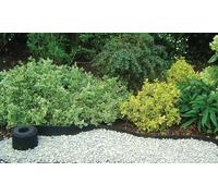 Bordure en caoutchouc "Selfix Bordura" - 0,13 x 10 m