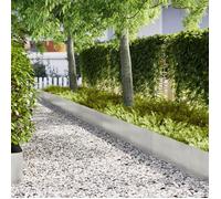 Bordures de Jardin 20 pcs 100x0.5x30 cm Acier Inoxydable