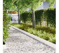 bordures de pelouse vidaXL 20 pcs Blanc 100x0,5x20 cm Acier