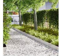 Bordures de jardin - 30 pcs - Acier inoxydable - 100x0,5x20 cm - Couleur grise