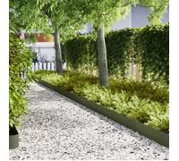 Bordures de jardin 50 pcs Vert olive 100x0,5x20 cm Acier
