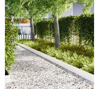 Bordures de jardin vidaXL 10 pcs Blanc 100x0,5x20 cm Acier
