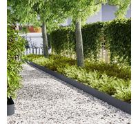 bordures de jardin vidaXL 20 pcs anthracite 100x0,5x20 cm en acier