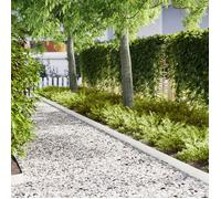 Bordures de pelouse 10 pcs Blanc 100x0,5x15 cm Acier
