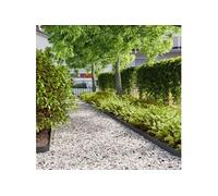 vidaXL Bordures de pelouse 10 pcs noir 10x103 cm acier laminé à froid