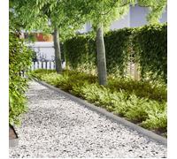 bordures de pelouse vidaXL 20 pcs 100x0,5x15 cm Acier galvanisé