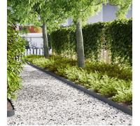 Bordures de pelouse - Anthracite - 50 pcs - 100x0,5x15 cm - Plastique synthétique