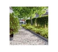 vidaXL Bordures pelouse 10pcs anthracite 15x103cm acier laminé à froid