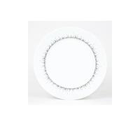 Table Passion - Assiette plate Boréalis gris 27 cm (Lot de 6)