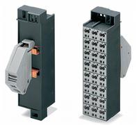 Borne collectrice de potentiel WAGO 726-652 ressort de traction Affectation: L gris 10 pc(s)