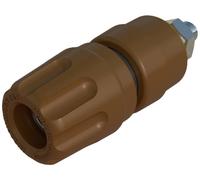 Borne de polarité Ø stylo (détails): 4 mm Hirschmann Test & Measurement PKI 10 A 930103105 marron 35 A