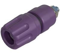 Borne de polarité Ø stylo (détails): 4 mm Hirschmann Test & Measurement PKI 10 A 930103109 violet 35 A