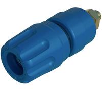 Borne de polarité Ø stylo (détails): 4 mm Hirschmann Test & Measurement PKI 10 A Au 930103702 bleu 35 A 1 pc(s)