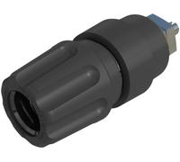 Borne de polarité Ø stylo (détails): 4 mm Hirschmann Test & Measurement PKNI 10 B 930136100 noir 63 A 1 pc(s)