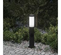 Borne lumineuse avec sortie 50 cm en acier inoxydable IP44 vidaXL
