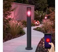 Borne Lumineuse Extérieure Lampadaire Smart LED Fumée Anthracite RGB Google