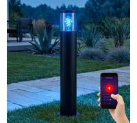 Borne Lumineuse Lampadaire Lampe Smart LED Google Alexa RGB Fumée Inox