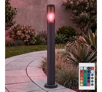 Lampadaire en acier inoxydable lampadaire de jardin d'extérieur anthracite fumé, télécommande dimmable, 1x LED RGB 8,5W 806Lm blanc chaud, DxH 7,6x80 cm