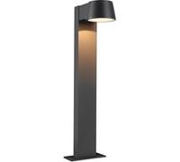 Paulmann LED Borne lumineuse Capea respectueux des insectes IP44 500 mm 2200K 6W 450lm 230V 98° Anthracite Aluminium 94715