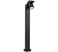 Paulmann LED Borne d'éclairage Cuff Détecteur de mouvement àcrépusculaire (IR)