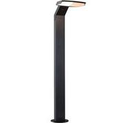 Paulmann LED Borne d'éclairage Zenera respectueuse des insectes