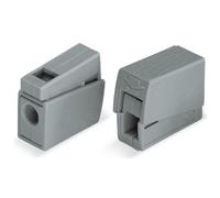 Bornes pour luminaires - Wago 224-101