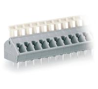 Bornier à ressort WAGO 256-403/332-009/999-950 2.50 mm² Nombre de pôles 3 gris clair 280 pc(s)