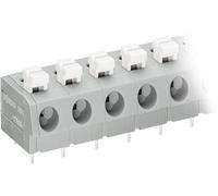 Bornier à ressort WAGO 804-303 2.50 mm² Nombre de pôles 3 gris, blanc