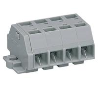 Bornier WAGO 260-204 8 mm ressort de traction Affectation: L gris 100 pc(s)