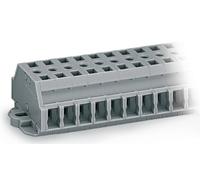 Bornier WAGO 261-429 6 mm ressort de traction Affectation: L gris 50 pc(s)