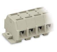 Bornier WAGO 262-283 12 mm ressort de traction Affectation: L gris 100 pc(s)