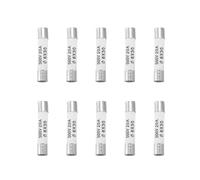 Bortivier 10 Pieces 6mmx30mm 20A Lien Fusible en ceramique de soufflage 500V