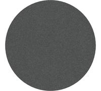 Bosch 10x Disque abrasif PRO Plastic and Hard Stone F355 (pour Béton, Pierre dure, Ø 125 mm, Grain 320, Professional Accessoire Petite meuleuse angulaire)