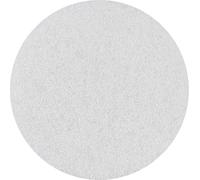 Bosch 1x Disques en non-tissé EXPERT N880 (pour Tôles en acier, Acier inoxydable, Ø 150 mm, Nettoyage, Professional Accessoire Ponceuse excentrique, Ponceuse excentrique)