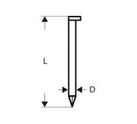 Bosch 2608200008 Clou En Bande Tête D Sn34Dk 80G 3,1 Mm, 80 Mm, Galvanisé, Lisse Galvanisés, 3000 Pièces