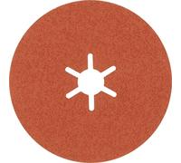 Bosch Accessories 2608621817 Disque en fibres Diamètre 100 mm Grain=60 25 pc(s)