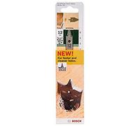 Bosch Accessories 2609255329 Mèches plates Self Cut à pointe de centrage double ébaucheur Diamètre 10 mm Longueur 152 mm