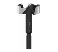 Bosch Bosch EXPERT Forets Forstner Bois, 45 mm, D10 mm Quantité:1